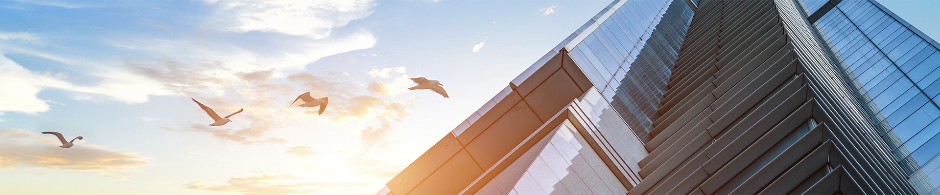 名譽(yù)の資質(zhì)